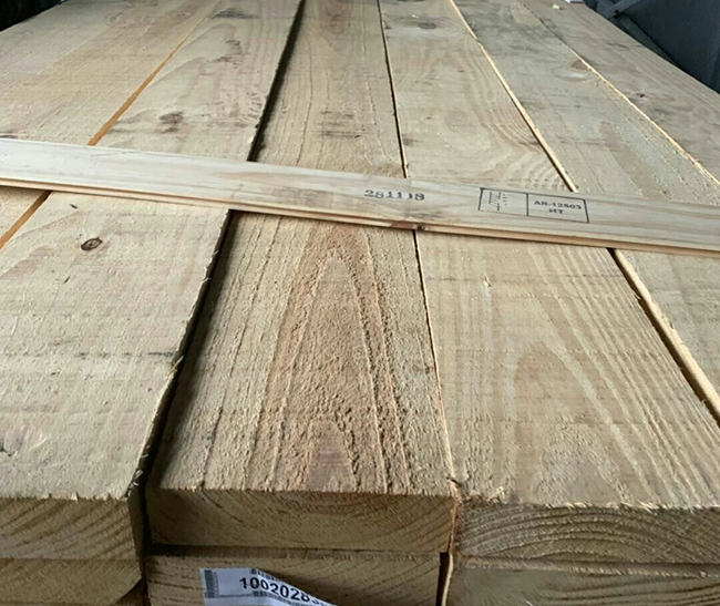 哈密阿根廷松木
